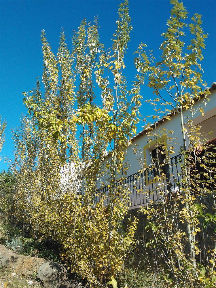 Casas Do Palheiro Velho Casa de hóspedes Castro Marim Exterior foto